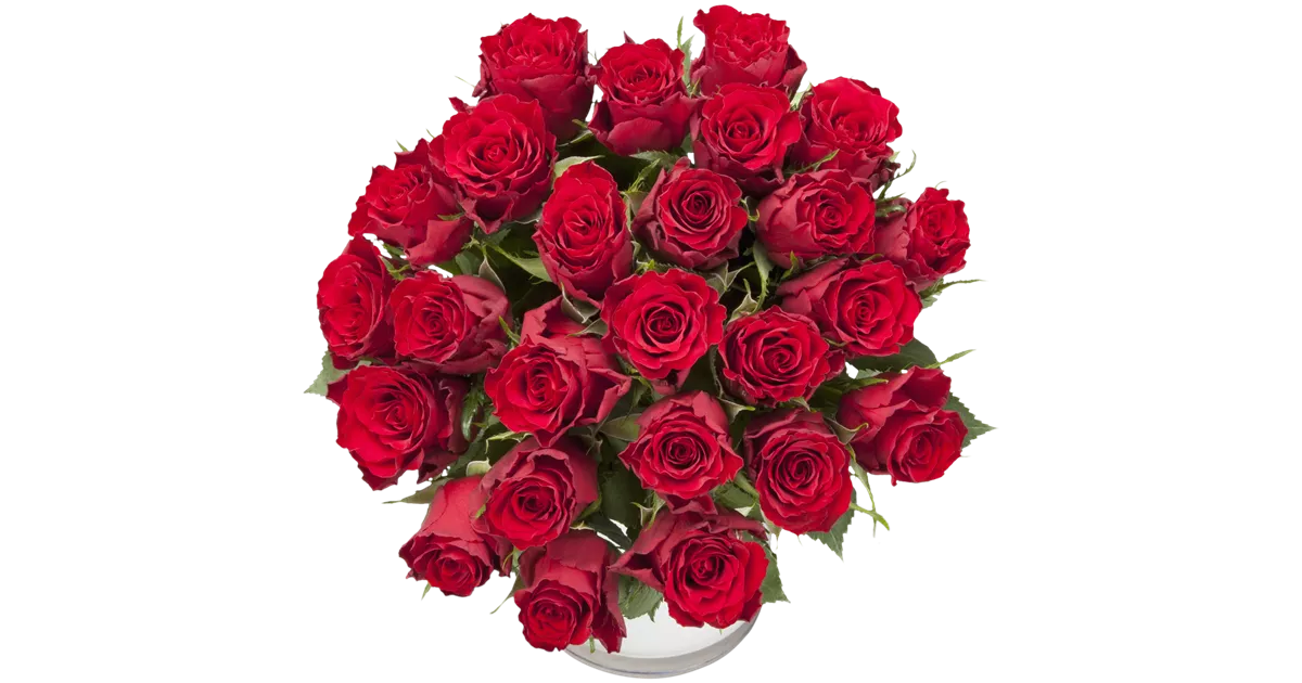 Rosenstrauß in Rot