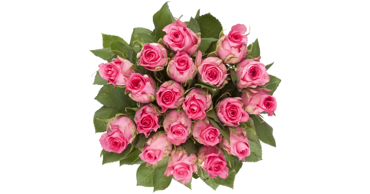 Rosenstrauß in Pink